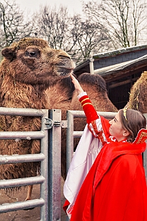 Zoo Duisburg 2026-01-29 11  Ene Besuch em Zoo - Der Zoobesuch ist eine schöne Tradition für die amtierenden Tollitäten der Stadt. Diesmal  besuchten wir außer Kamel, Koala, Delphin und Co. auch die Zebras, wenn auch nicht Blau-Weiß gestreift. : DVPJ, Toni I, Jules I., Prinz Karneval, Prinz, Prinzessin Aileen I., Hofmarschälle, Page, Pagen, Paginnen, HDK, Duisburg, Karneval, Helau, Tollität, Event, Session 2025, Session 2025, HDK Duisburg, Hauptausschuss, Hauptausschuss Karneval Duisburg, Duisburg ist echt