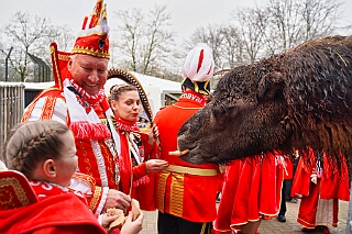 Zoo Duisburg 2026-01-29 13  Ene Besuch em Zoo - Der Zoobesuch ist eine schöne Tradition für die amtierenden Tollitäten der Stadt. Diesmal  besuchten wir außer Kamel, Koala, Delphin und Co. auch die Zebras, wenn auch nicht Blau-Weiß gestreift. : DVPJ, Toni I, Jules I., Prinz Karneval, Prinz, Prinzessin Aileen I., Hofmarschälle, Page, Pagen, Paginnen, HDK, Duisburg, Karneval, Helau, Tollität, Event, Session 2025, Session 2025, HDK Duisburg, Hauptausschuss, Hauptausschuss Karneval Duisburg, Duisburg ist echt