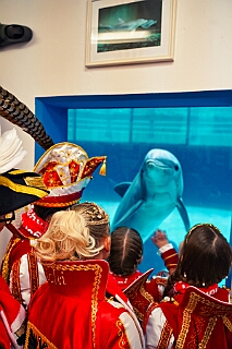 Zoo Duisburg 2026-01-29 26  Ene Besuch em Zoo - Der Zoobesuch ist eine schöne Tradition für die amtierenden Tollitäten der Stadt. Diesmal  besuchten wir außer Kamel, Koala, Delphin und Co. auch die Zebras, wenn auch nicht Blau-Weiß gestreift. : DVPJ, Toni I, Jules I., Prinz Karneval, Prinz, Prinzessin Aileen I., Hofmarschälle, Page, Pagen, Paginnen, HDK, Duisburg, Karneval, Helau, Tollität, Event, Session 2025, Session 2025, HDK Duisburg, Hauptausschuss, Hauptausschuss Karneval Duisburg, Duisburg ist echt