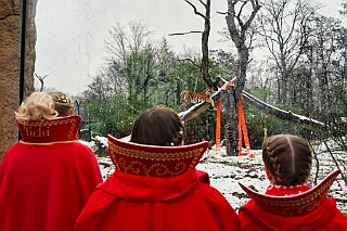 Zoo Duisburg 2026-01-29 28  Ene Besuch em Zoo - Der Zoobesuch ist eine schöne Tradition für die amtierenden Tollitäten der Stadt. Diesmal  besuchten wir außer Kamel, Koala, Delphin und Co. auch die Zebras, wenn auch nicht Blau-Weiß gestreift. : DVPJ, Toni I, Jules I., Prinz Karneval, Prinz, Prinzessin Aileen I., Hofmarschälle, Page, Pagen, Paginnen, HDK, Duisburg, Karneval, Helau, Tollität, Event, Session 2025, Session 2025, HDK Duisburg, Hauptausschuss, Hauptausschuss Karneval Duisburg, Duisburg ist echt