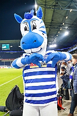 06 MSV Spiel 2026-02-08 11  Tour-Tag, 8. Februar -Start war an diesem Sonntag mit der Herrensitzung der Rot-Weißen aus Hamborn im Abteikeller. Danach wurde uns  eine Spende für den neuen Inklusions-Bus vom Meidericher Hilfswerk e.V. übergeben. Weiter zur Herrensitzung  der » Blauen Jungs « an gewohnter Stätte. Zur Stärkung zwischendurch war dann das Grünkohlessen von Bienen Lindner im „Langgasthof Schenke“. Nach einem Besuch in unserem Standquartier, UT_Ungelsheimer Treff“, waren wir beim 4:2 des MSV vs. Verl in der schauinsland-reisen Arena. : DVPJ, Toni I, Jules I., Prinz Karneval, Prinz, Prinzessin Aileen I., Hofmarschälle, Page, Pagen, Paginnen, HDK, Duisburg, Karneval, Helau, Tollität, Event, Session 2025, Session 2025, HDK Duisburg, Hauptausschuss, Hauptausschuss Karneval Duisburg, Duisburg ist echt